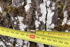 WhatsApp-Image-2021-04-29-at-08.19.43-4