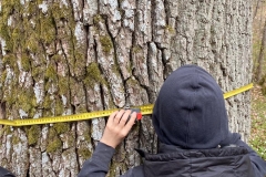 WhatsApp-Image-2021-04-29-at-08.19.43-5