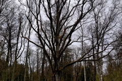 WhatsApp-Image-2021-04-29-at-08.23.50