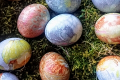 WhatsApp-Image-2021-04-23-at-11_30_29